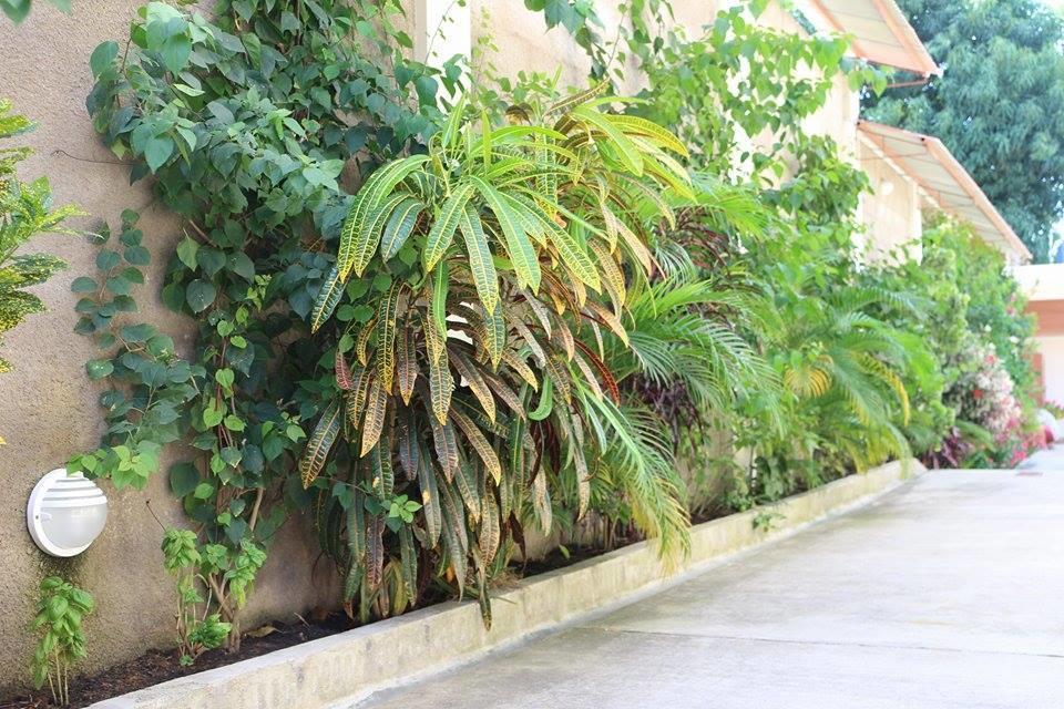 塔拉波托La Casa Del Italiano住宿加早餐旅馆 外观 照片