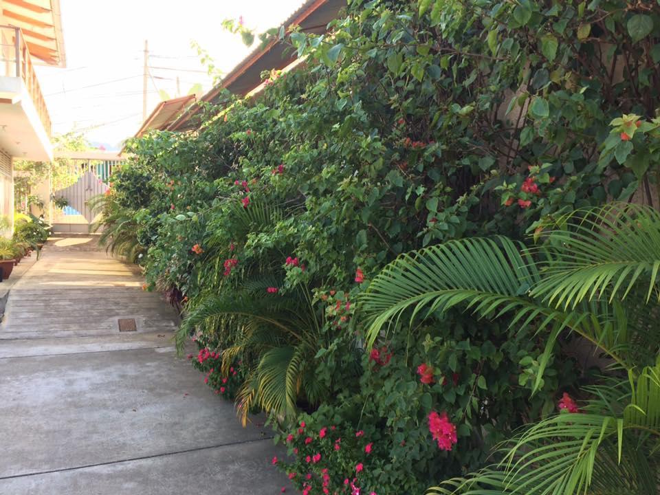塔拉波托La Casa Del Italiano住宿加早餐旅馆 外观 照片
